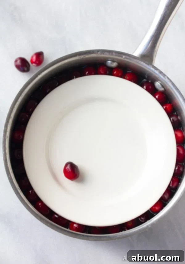 How To: Vanilla Orange Candied Cranberries soaking in aromatic syrup.