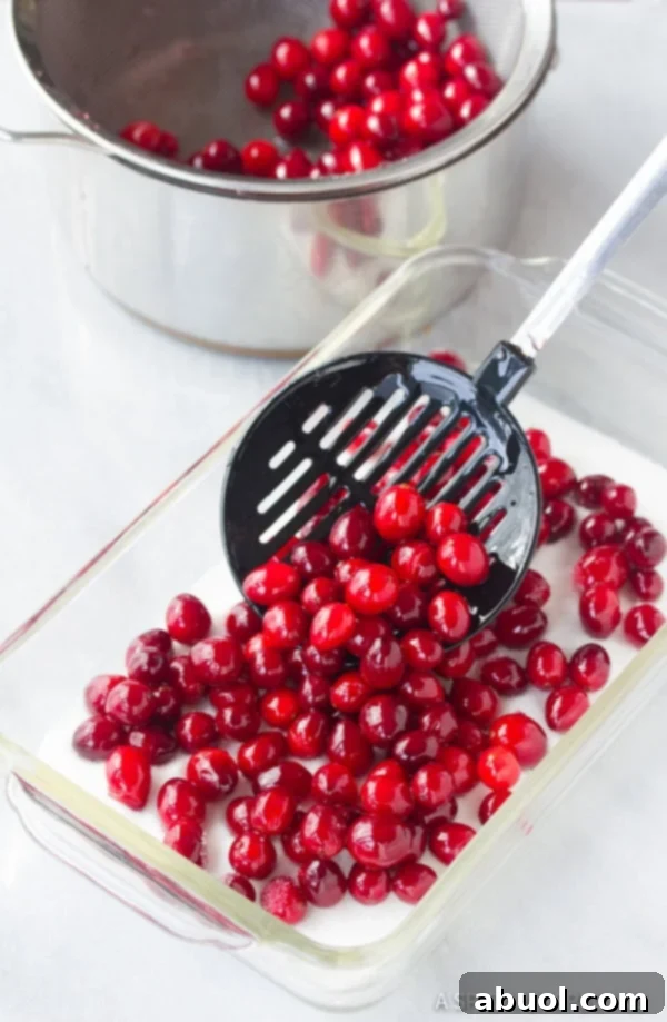 Brilliant Vanilla Orange Candied Cranberries being coated in sugar.