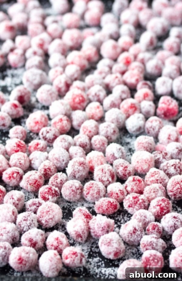 Dazzling Vanilla Orange Candied Cranberries, close-up of the sugar sparkle.