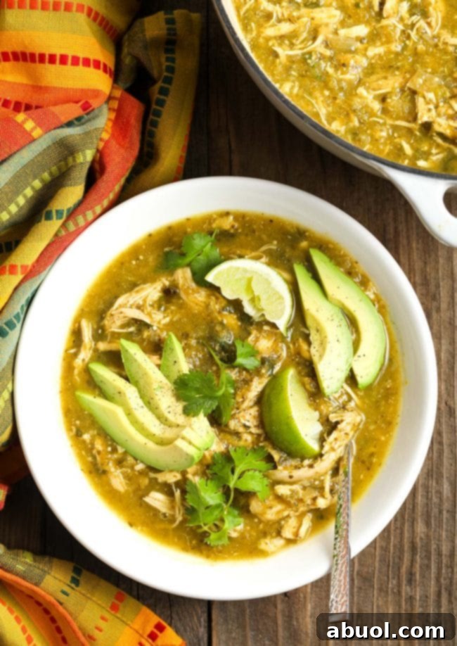 Overhead view of a richly textured bowl of chicken chili verde, ready to be enjoyed, garnished with vibrant cilantro.
