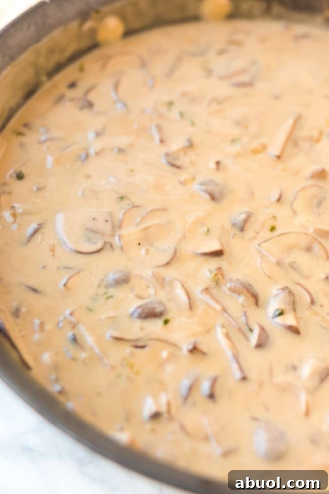 Quick Creamy Beef Stroganoff and Buttered Noodles 7 Perfectly plated Beef Stroganoff with Butter Noodles, ready to be enjoyed.