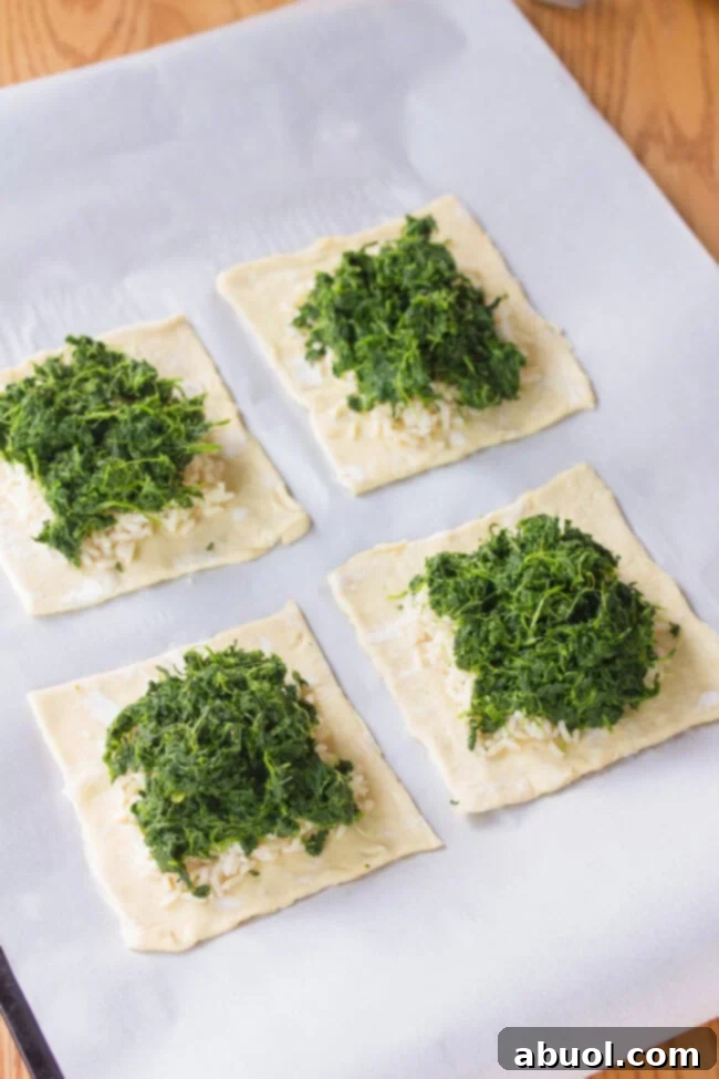 Gourmet Salmon En Croute 6 Puff pastry sheet with a layer of wilted spinach for Salmon Wellington