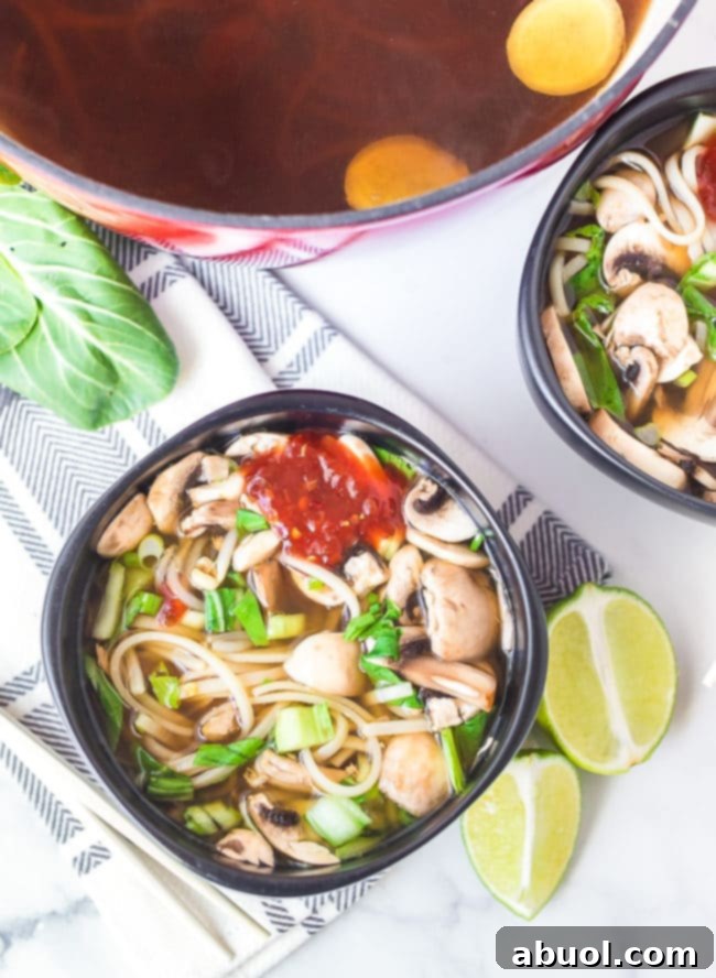 An appetizing overhead view of a generously filled bowl of hot pot, showcasing the rich colors and textures of its ingredients.