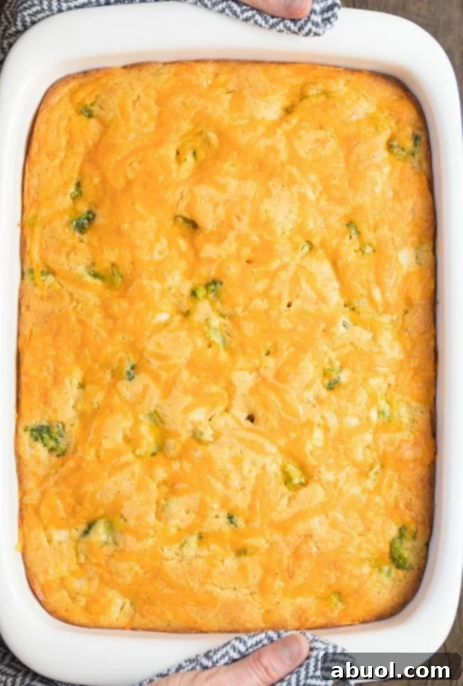 An overhead shot of a golden-brown pan of fluffy broccoli cornbread, freshly baked and ready to be sliced, showcasing its enticing crust.