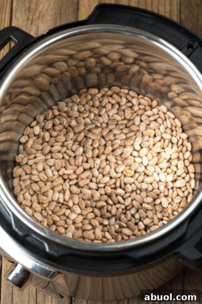 Overhead view of dried beans in an instant pot. 