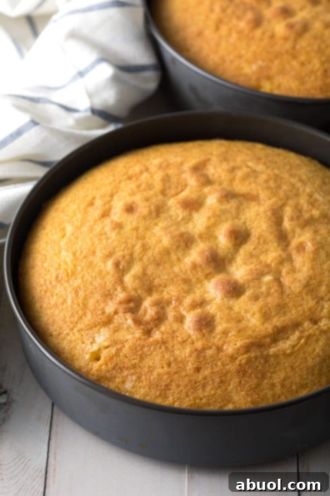 Baked lemon cake in a cake pan.