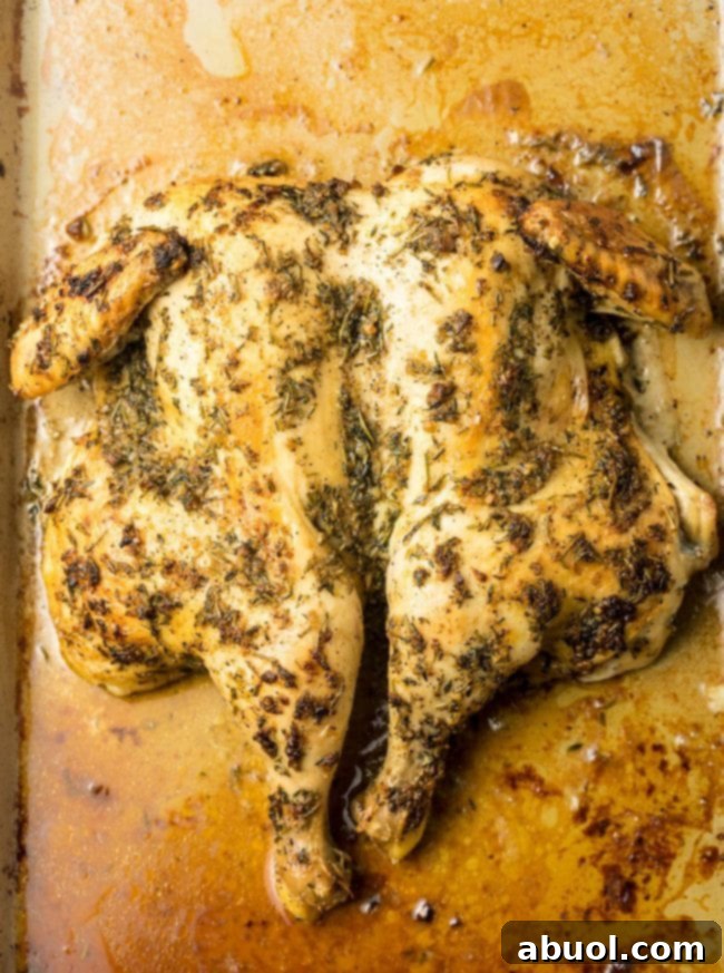 Spatchcock Chicken in Three Easy Steps 2 How To Spatchcock Chicken In 3 Steps (+ Garlic Herb Roast Chicken Recipe) - Achieve Perfect Crispy Skin and Faster Cooking