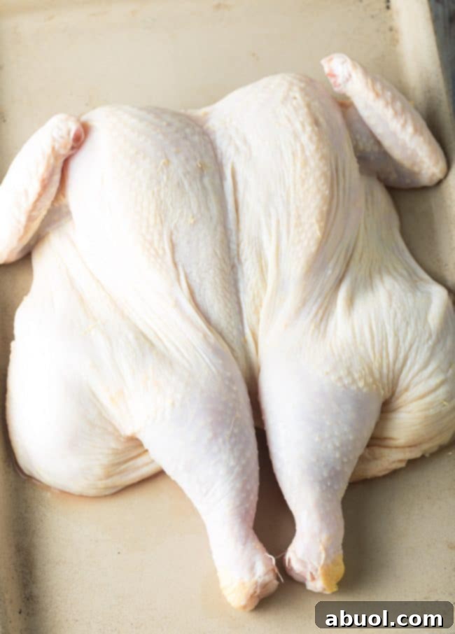 Spatchcock Chicken in Three Easy Steps 10 Step 3: Spatchcock Chicken with Wings Trimmed and Ready for Roasting