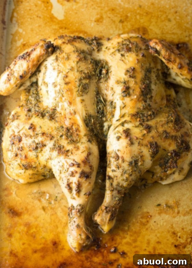 Spatchcock Chicken in Three Easy Steps 11 Spatchcock Chicken with Garlic Herb Seasoning Ready for Roasting to Crispy Perfection