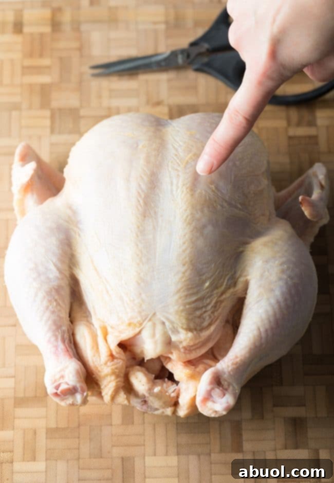 Spatchcock Chicken in Three Easy Steps 4 Step 1: Identifying the Breastbone on a Whole Chicken for Spatchcocking Preparation