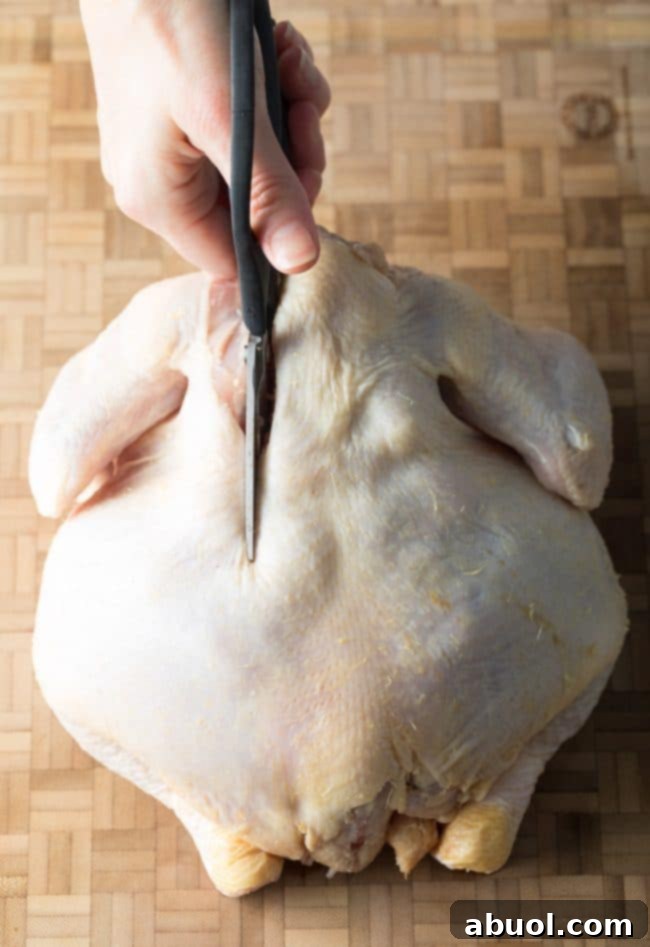 Spatchcock Chicken in Three Easy Steps 6 Step 2: Preparing the Chicken for Spatchcocking by Pressing Down