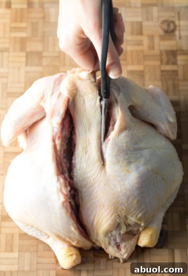Slicing chicken along backbone with kitchen shears.
