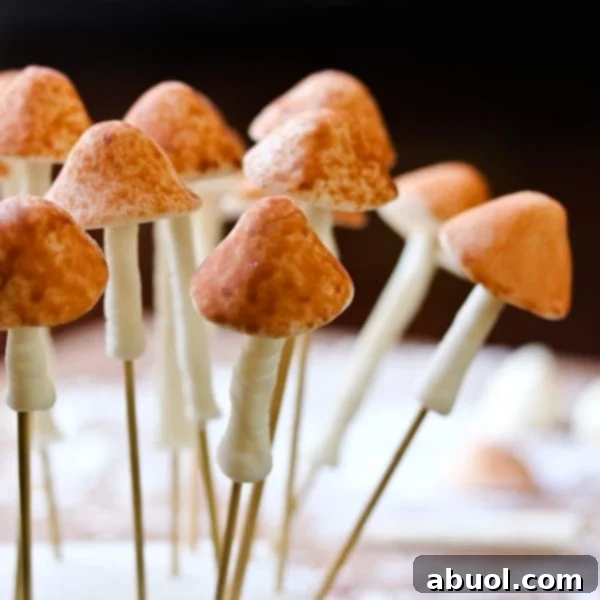 Homemade Fondant Magic 14 Assorted mushroom fondant decorations on toothpicks, demonstrating creative application for cake toppers.