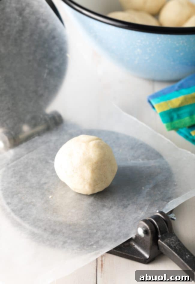 tortilla press with dough ball