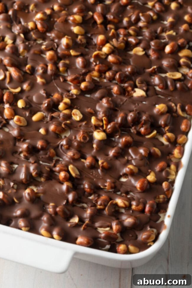 A perfectly assembled Buster Bar Ice Cream Cake in a pristine white baking dish, ready for chilling and serving. 