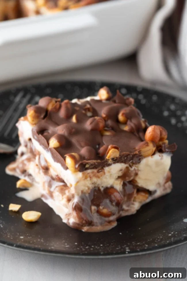 A delectable slice of ice cream cake with some gooey fudge oozing out from between its layers, a truly tempting sight. 