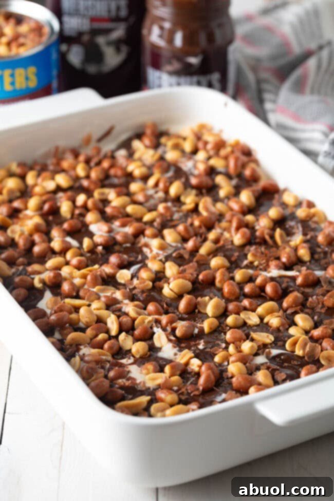 Generously sprinkling crunchy red-skin peanuts over the rich fudge layer, adding essential texture and flavor.
