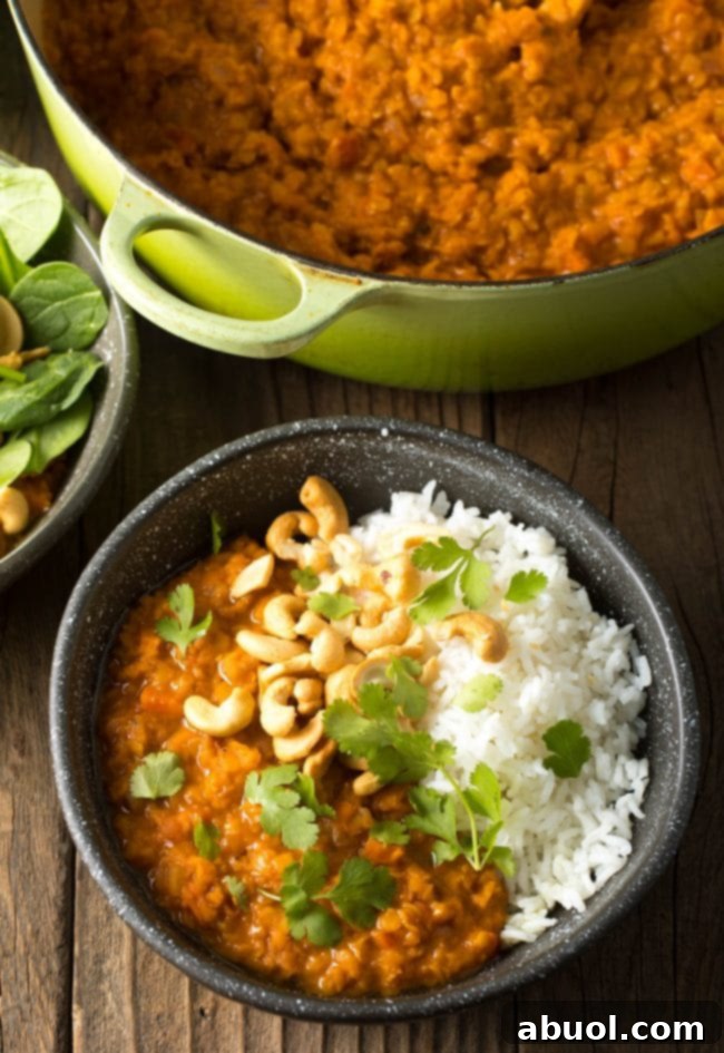 Top down view bowl of red lentil curry with white rice, all topped with whole raw cashews, red onion slices, and fresh chopped cilantro.