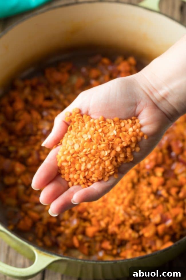 Hand holding palmful of dry red lentils.