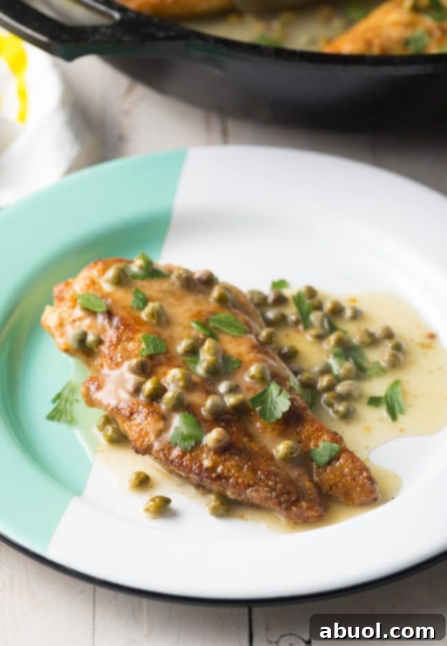 Easy chicken piccata on a white plate, garnished with capers and fresh parsley, with a fork and knife.