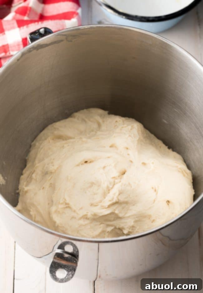 Dough For Breadsticks Recipe