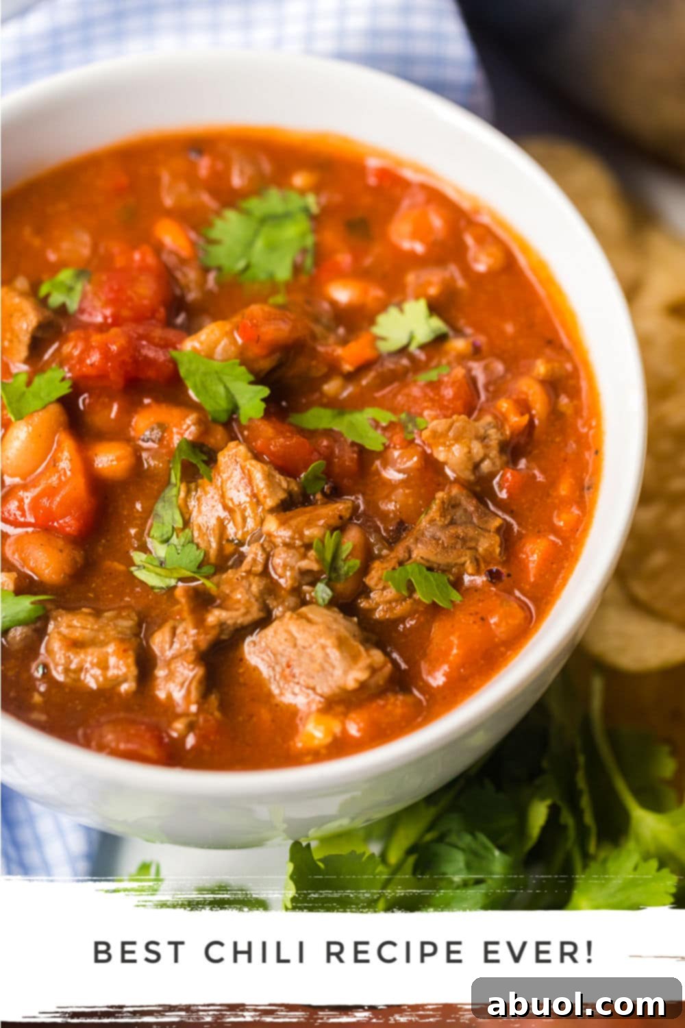 Steak chili served in a white bowl and topped with fresh cilantro, ready to be enjoyed.