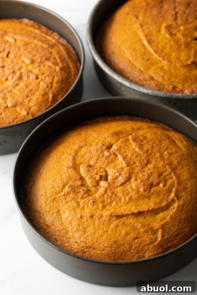 Spiced Autumn Pumpkin Cake 6 Baked cake layers.