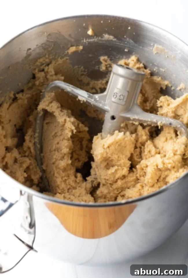 Creamy cookie dough mixed and ready in a bowl, showing the initial stage of preparing delicious sugar cookies.
