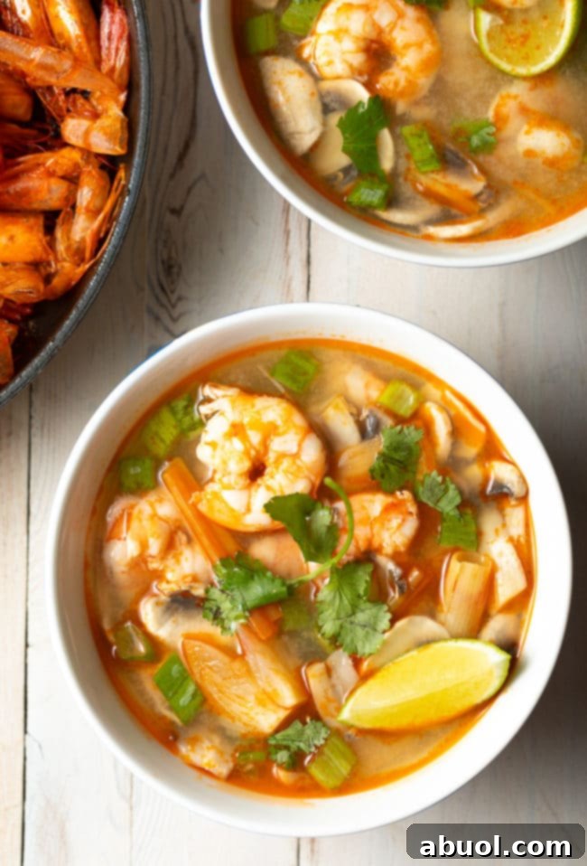 Spicy Thai Tom Yum Perfection 2 Overhead shot of bowl of tom yum with cilantro and lime wedges on top.
