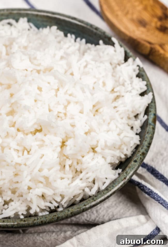 Fluffy Basmati rice in a gray bowl, garnished with fresh cilantro, ready to be served.