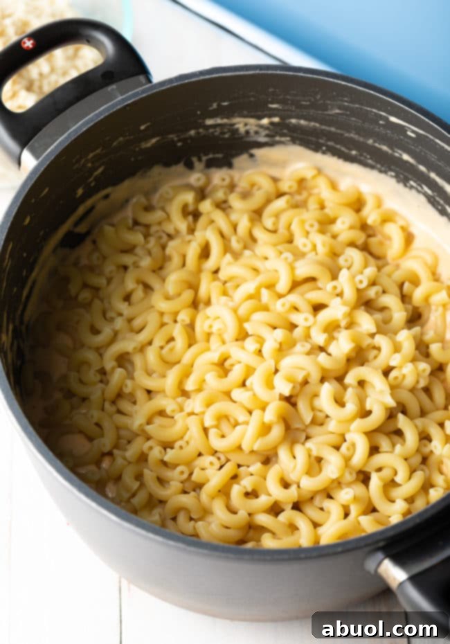 Homemade Mac and Cheese Perfection 10 Easy Mac and Cheese Recipe