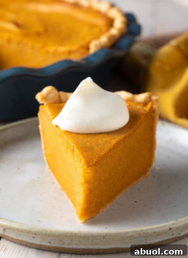 A perfectly sliced piece of old-fashioned Southern Sweet Potato Pie, showcasing its creamy texture and golden crust, ready to be enjoyed on a white plate.