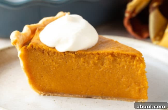 An easy pie recipe, a close-up of a sweet potato pie with a golden, crimped crust, showcasing the rich color of the filling.