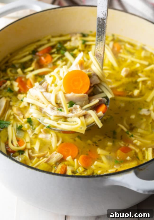 A close-up of the easy chicken noodle soup recipe, showing perfectly cooked noodles and tender chicken in a golden broth.