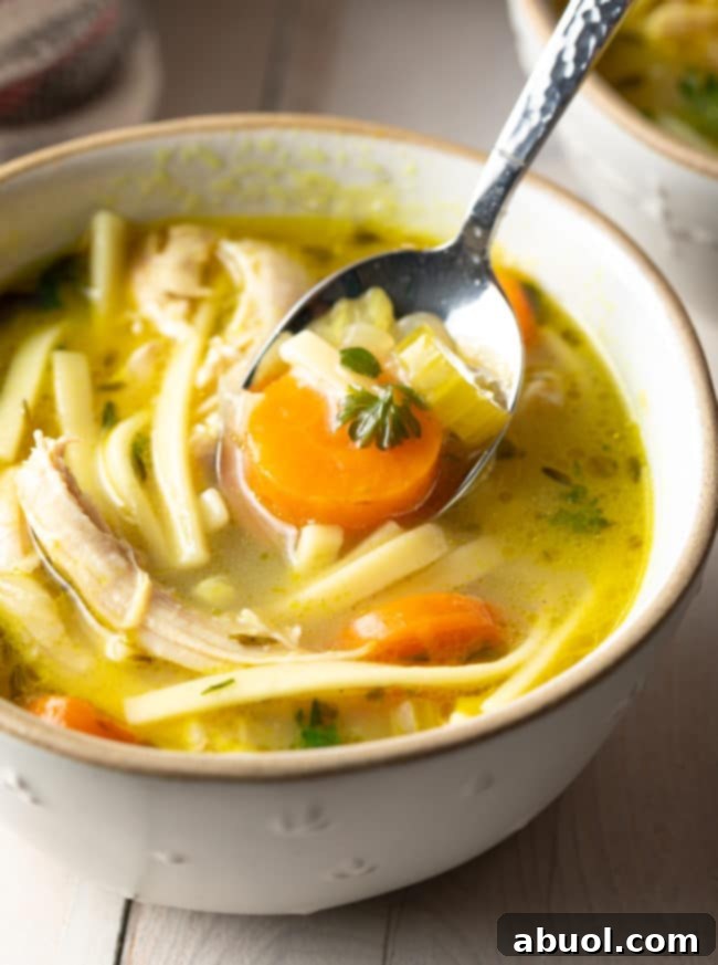 A spoonful of spicy chicken noodle soup being lifted from a bowl, showcasing the rich broth, noodles, and vegetables.