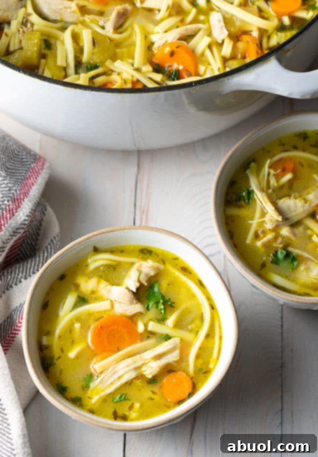 Several servings of homemade chicken noodle soup in bowls, alongside the large pot it was cooked in.