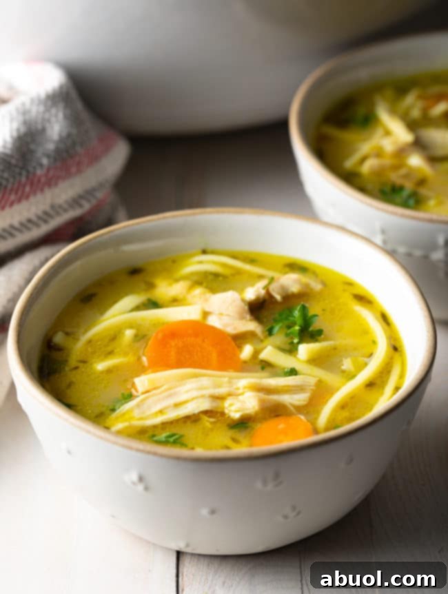 A steaming bowl of homemade chicken noodle soup, garnished with fresh parsley, ready to be enjoyed.