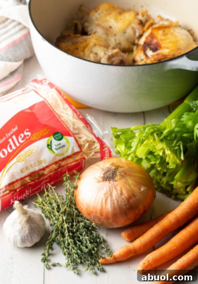 Fresh ingredients laid out for chicken noodle soup, including chicken thighs, vegetables, herbs, and noodles.
