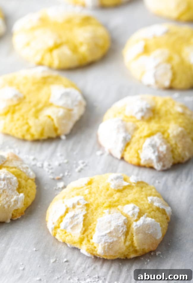 Rows of unbaked lemon crinkle cookie dough balls, generously coated in powdered sugar, resting on a parchment-lined baking sheet, ready for the oven.