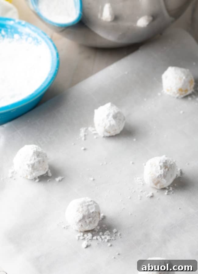 Numerous lemon crinkle cookie dough balls, thoroughly coated in powdered sugar, neatly arranged on a parchment-lined baking sheet before baking.