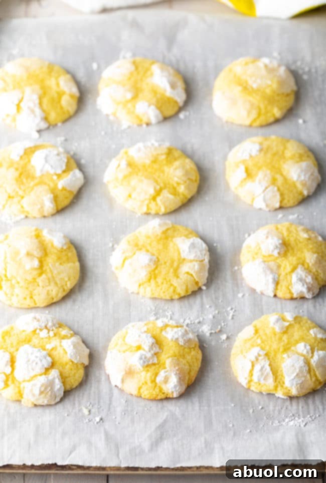 Freshly baked lemon crinkle cookies cooling on a baking sheet, displaying their beautiful white crackled tops and soft yellow interiors.