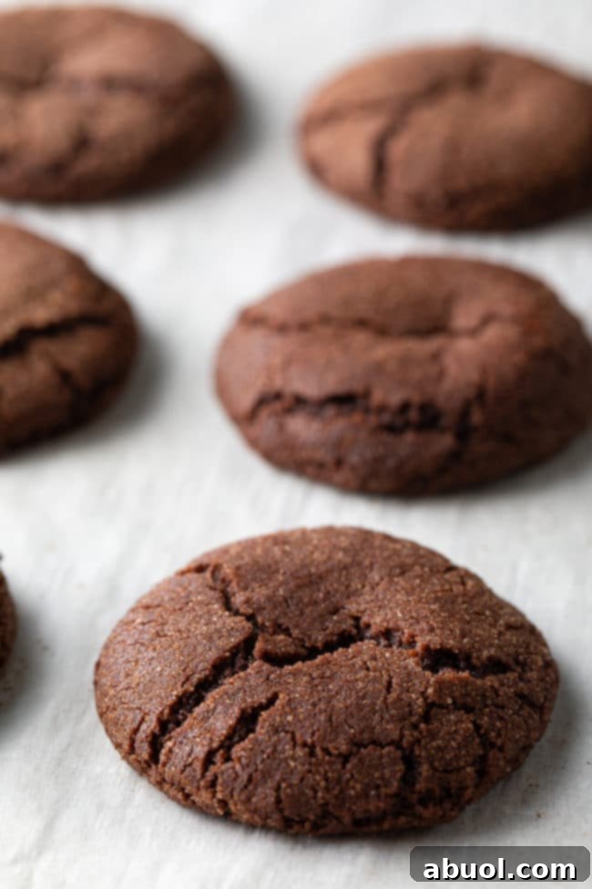 Chocolate Snickerdoodle Cookie Recipe - baked on cookie sheets
