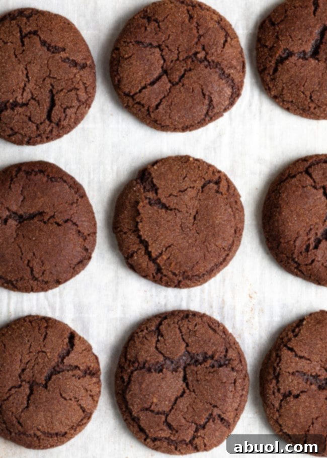 Best Chocolate Snickerdoodle Cookies Recipe - overhead shot of cookies on baking sheet