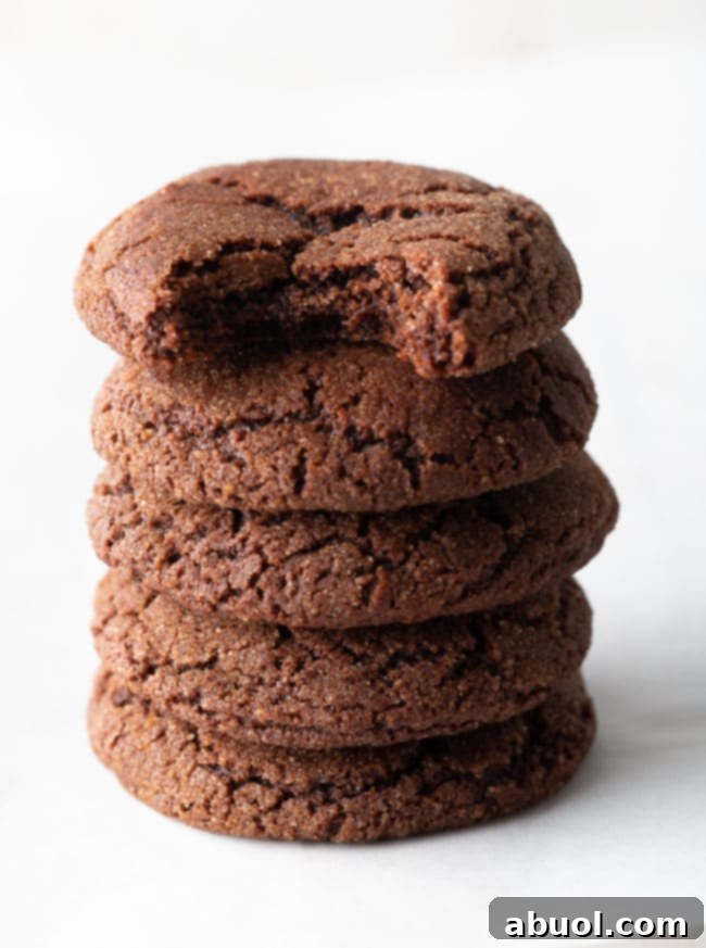 Chocolate Snickerdoodle Cookies with bite taken out