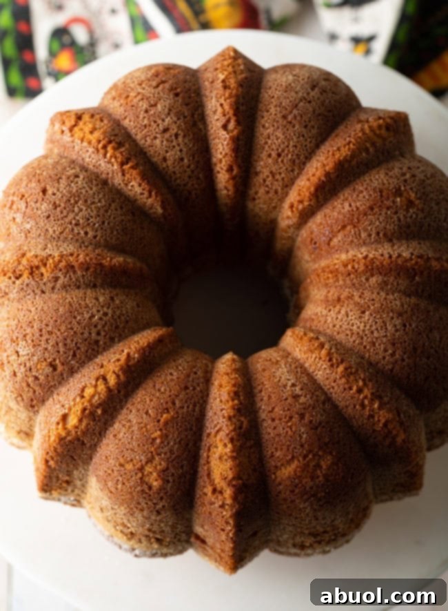 A perfectly golden-brown cream cheese pound cake cooling on a wire rack.