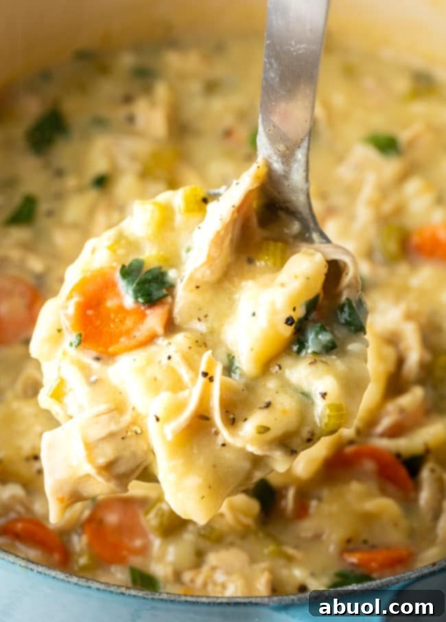 A ladle serving a generous portion of chicken and dumplings from a pot, with more soup visible in the background.