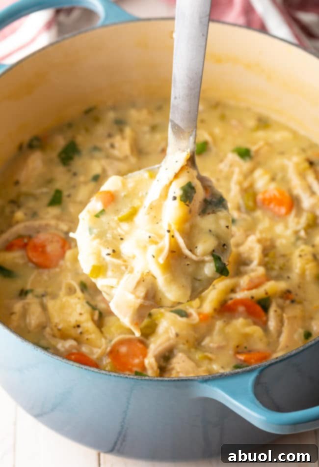 A ladle filled with creamy chicken and dumplings, with more of the comforting soup visible in the background of the pot.