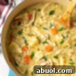 Chicken Dumplings Recipe