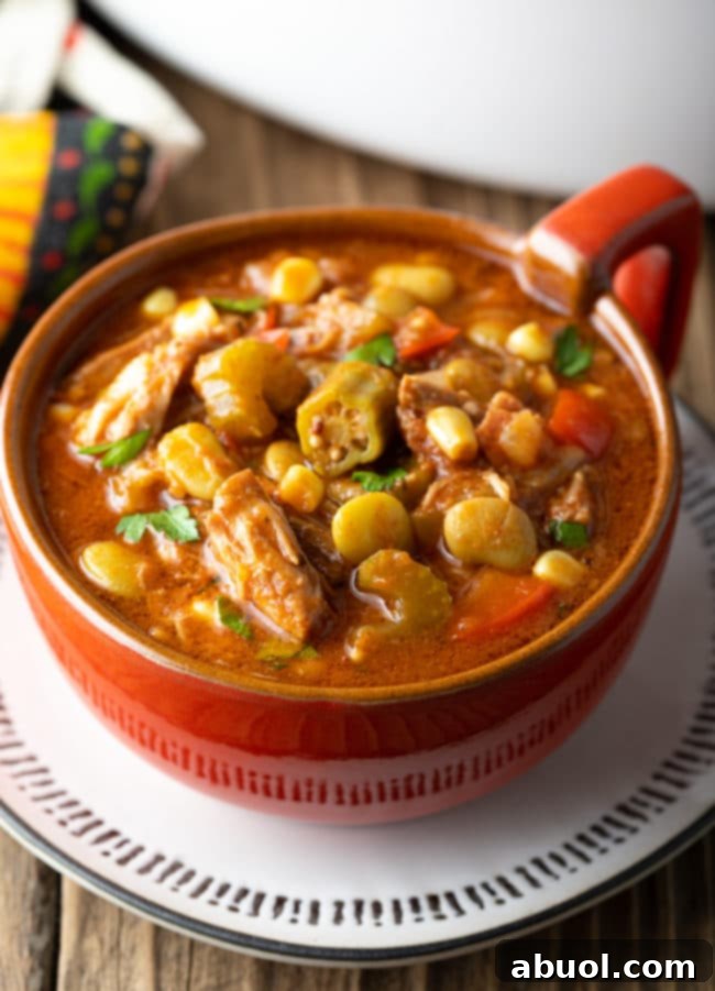 Set It and Forget It Brunswick Stew 2 A bowl of hot, hearty Brunswick Stew garnished with fresh herbs, ready to be served.