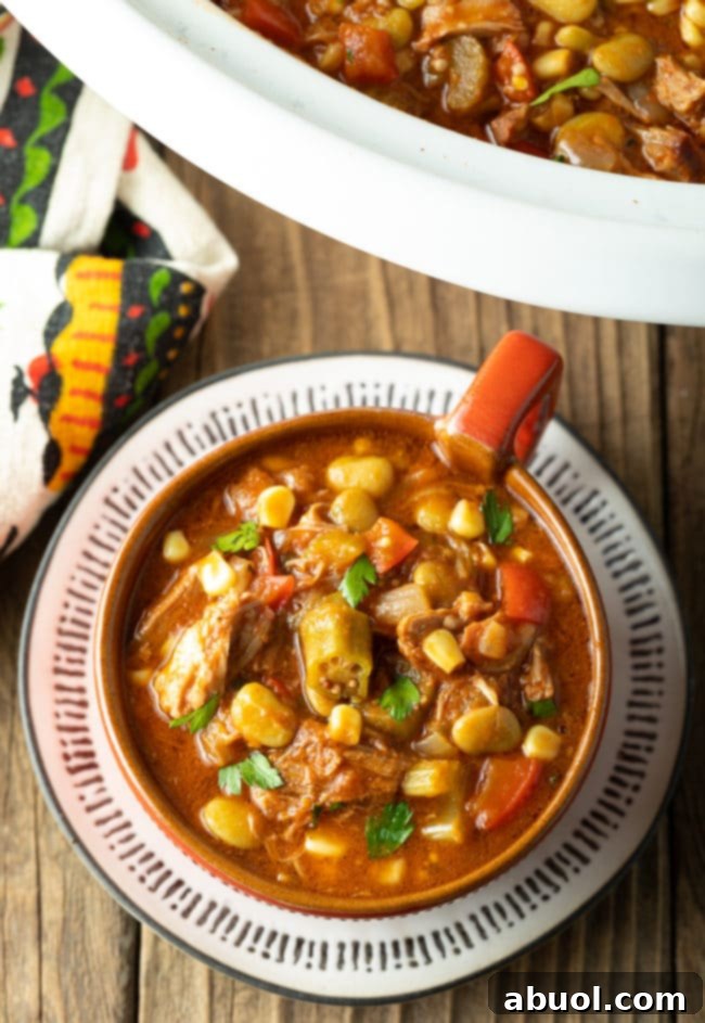 Set It and Forget It Brunswick Stew 4 An inviting overhead shot of Crockpot Brunswick Stew served in a rustic cup, showcasing its rich texture.